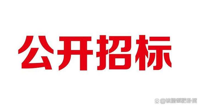 2025年度应急通信设备及应急信息系统维保服务竞争性磋商公告